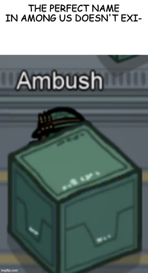 this is actually my name in among us and my go to colour and hat | THE PERFECT NAME IN AMONG US DOESN'T EXI- | image tagged in among us,green,army | made w/ Imgflip meme maker