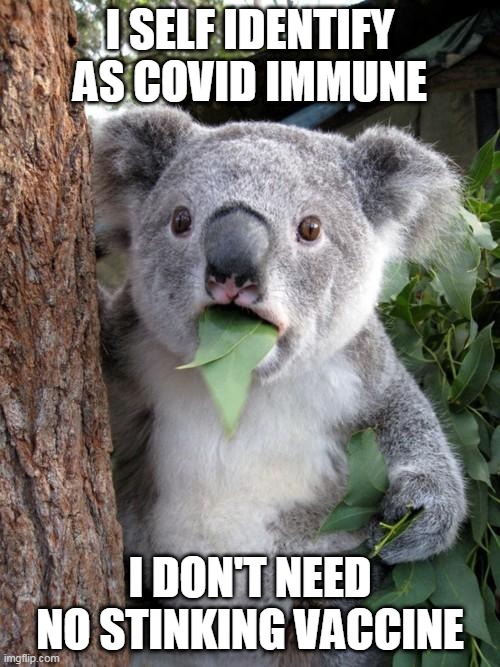 The Covid Vaccine | I SELF IDENTIFY AS COVID IMMUNE; I DON'T NEED NO STINKING VACCINE | image tagged in memes,surprised koala | made w/ Imgflip meme maker