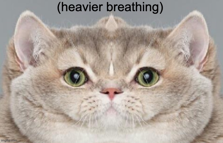 (heavier breathing) | made w/ Imgflip meme maker