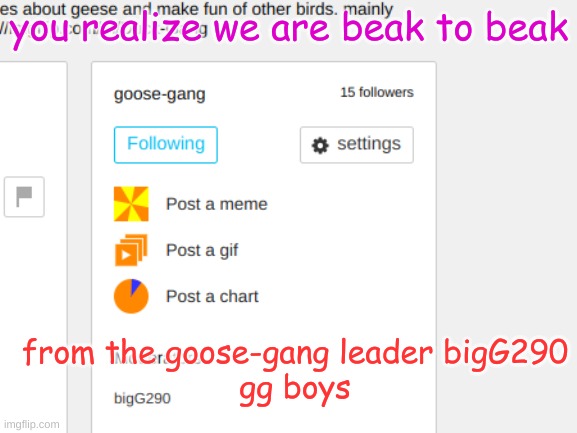 geese rule | you realize we are beak to beak; from the goose-gang leader bigG290
gg boys | image tagged in geese vs ducks | made w/ Imgflip meme maker