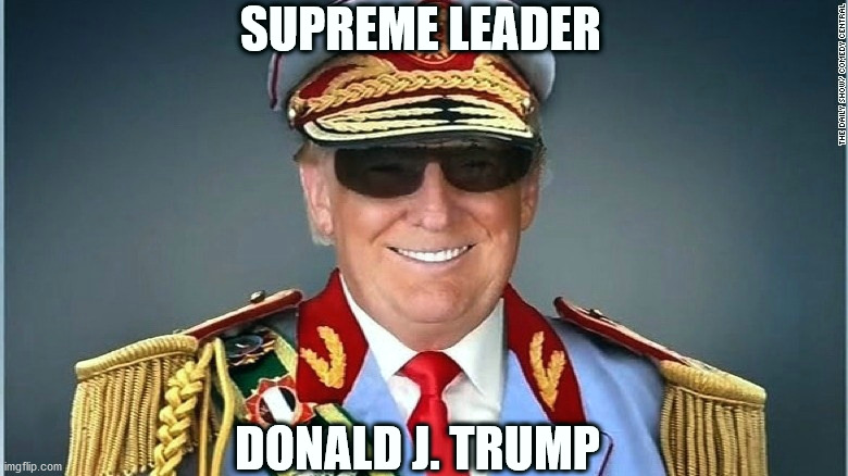 Still better than a Democrat president | SUPREME LEADER; DONALD J. TRUMP | image tagged in supreme leader trump,trump,biden,election 2020 | made w/ Imgflip meme maker