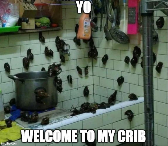 YO; WELCOME TO MY CRIB | made w/ Imgflip meme maker