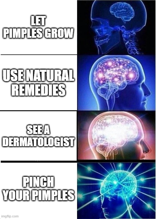 LOL | LET PIMPLES GROW; USE NATURAL REMEDIES; SEE A DERMATOLOGIST; PINCH YOUR PIMPLES | image tagged in memes,expanding brain | made w/ Imgflip meme maker