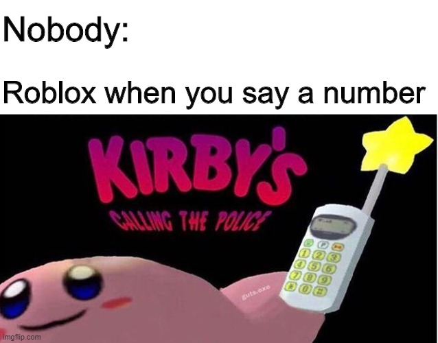 dang it I forgot the : | Nobody:; Roblox when you say a number | image tagged in kirby's calling the police | made w/ Imgflip meme maker