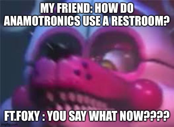 Welp... | MY FRIEND: HOW DO ANAMOTRONICS USE A RESTROOM? FT.FOXY : YOU SAY WHAT NOW???? | image tagged in fnaf | made w/ Imgflip meme maker