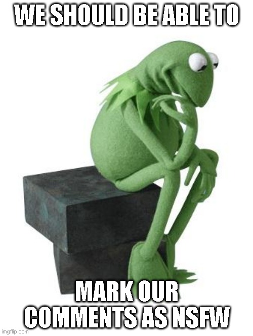 Another suggestion |  WE SHOULD BE ABLE TO; MARK OUR COMMENTS AS NSFW | image tagged in philosophy kermit,memes,imgflip | made w/ Imgflip meme maker