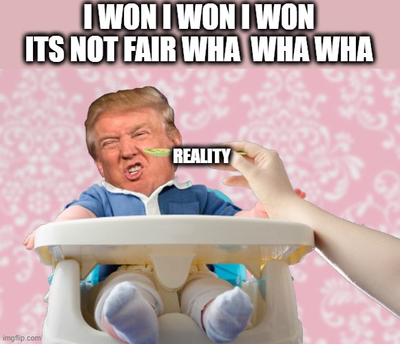 I will accept little donny as president as soon as he provided proof he won. | I WON I WON I WON ITS NOT FAIR WHA  WHA WHA; REALITY | image tagged in memes,election 2020,donald trump is an idiot,politics,threat to our national secuirty,national security | made w/ Imgflip meme maker