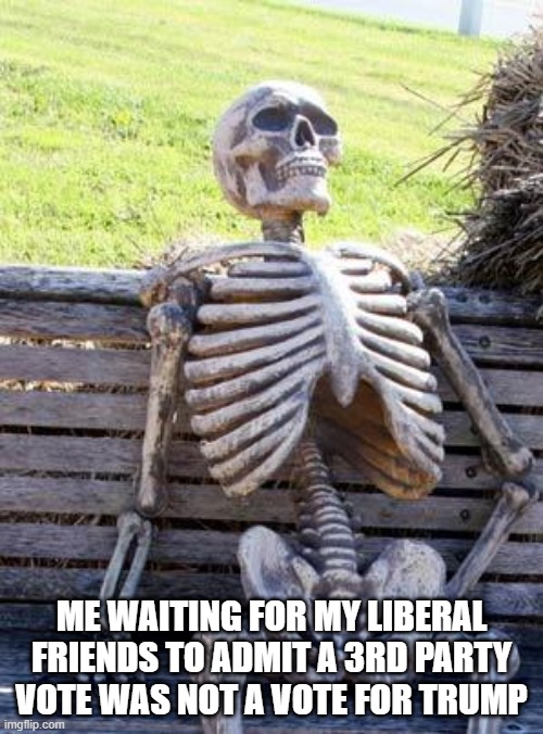 3rd party vote | ME WAITING FOR MY LIBERAL FRIENDS TO ADMIT A 3RD PARTY VOTE WAS NOT A VOTE FOR TRUMP | image tagged in memes,waiting skeleton | made w/ Imgflip meme maker