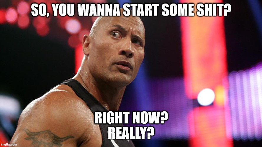 the rock raise eyebrow | SO, YOU WANNA START SOME SHIT? RIGHT NOW?
REALLY? | image tagged in the rock raise eyebrow | made w/ Imgflip meme maker