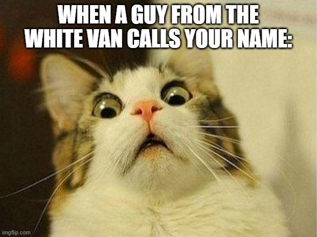 meme | WHEN A GUY FROM THE WHITE VAN CALLS YOUR NAME: | image tagged in memes,scared cat,white van | made w/ Imgflip meme maker