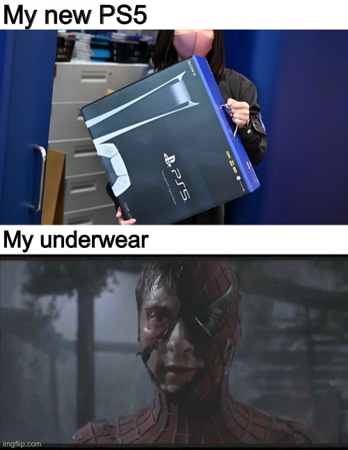 Sorry underwear | My new PS5; My underwear | image tagged in ps5,gaming,video games,meme,funny | made w/ Imgflip meme maker