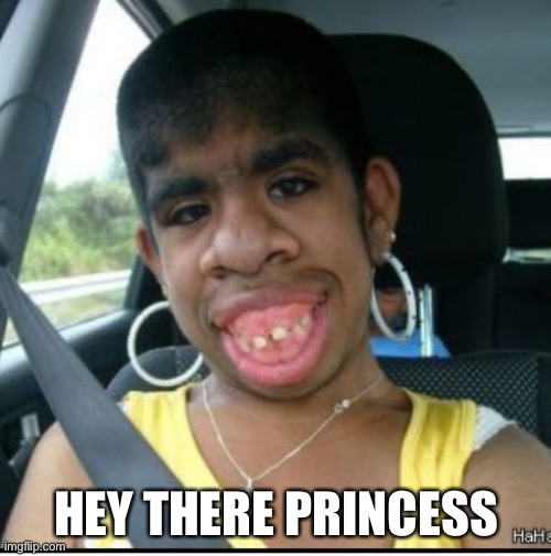ugly girl | HEY THERE PRINCESS | image tagged in ugly girl | made w/ Imgflip meme maker