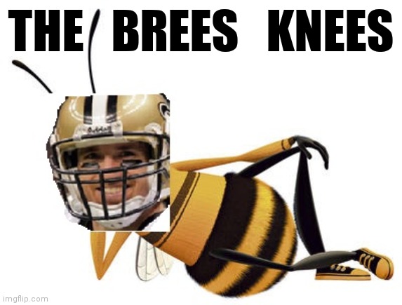 THE   BREES   KNEES | made w/ Imgflip meme maker