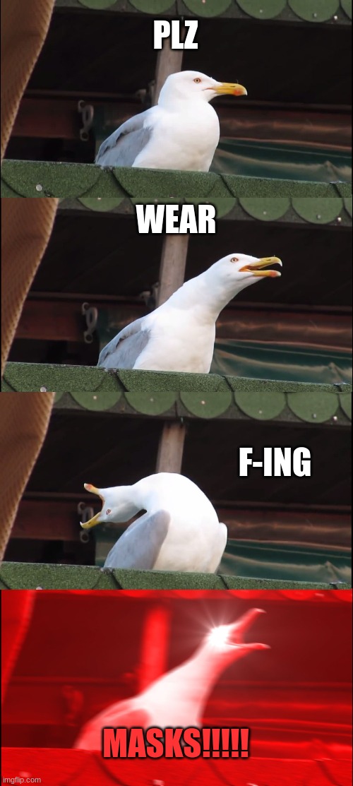 Inhaling Seagull Meme | PLZ WEAR F-ING MASKS!!!!! | image tagged in memes,inhaling seagull | made w/ Imgflip meme maker