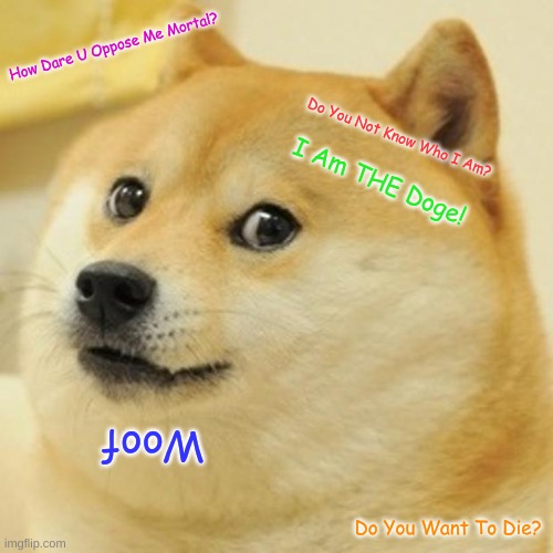 doge | How Dare U Oppose Me Mortal? Do You Not Know Who I Am? I Am THE Doge! Woof; Do You Want To Die? | image tagged in memes,doge | made w/ Imgflip meme maker