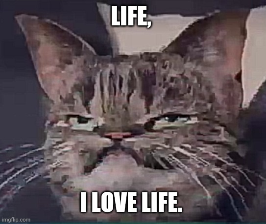 Life is good | LIFE, I LOVE LIFE. | image tagged in life,grumpy cat | made w/ Imgflip meme maker