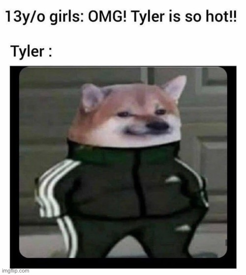Tyler | image tagged in memes,funny,repost | made w/ Imgflip meme maker