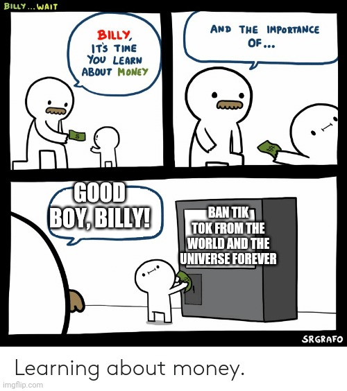 Billy Learning About Money | GOOD BOY, BILLY! BAN TIK TOK FROM THE WORLD AND THE UNIVERSE FOREVER | image tagged in billy learning about money | made w/ Imgflip meme maker