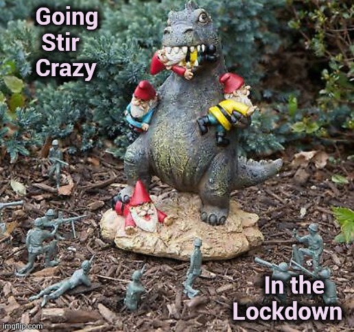 How you doin' ? | Going
      Stir 
     Crazy; In the    
Lockdown | image tagged in creativity,insanity,hand in hand,crazy,kids toys,i don't want to play with you anymore | made w/ Imgflip meme maker