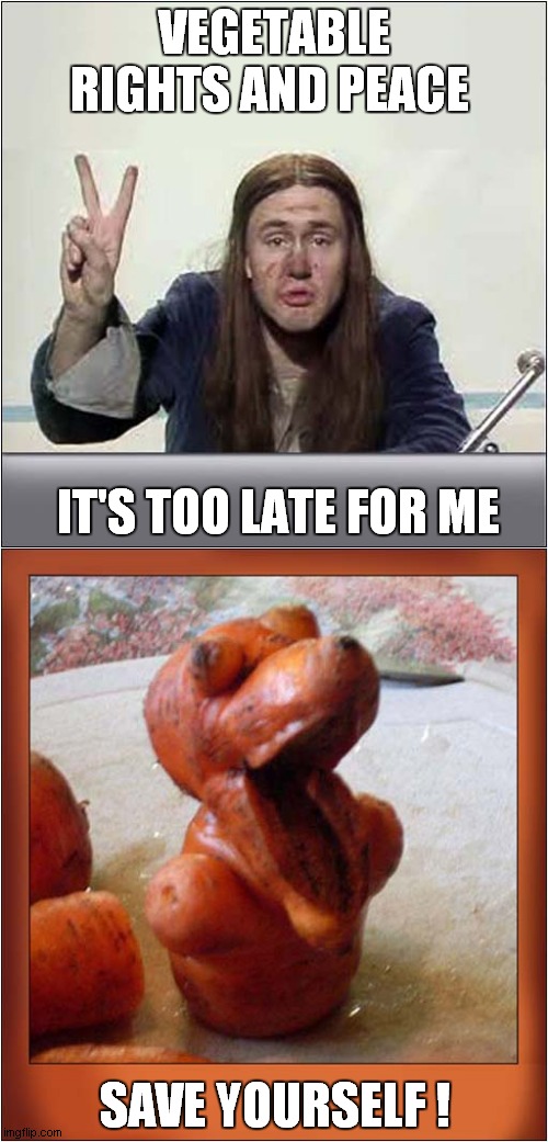 Vegetable Plea ! | VEGETABLE RIGHTS AND PEACE; IT'S TOO LATE FOR ME; SAVE YOURSELF ! | image tagged in vegetables,save me,frontpage | made w/ Imgflip meme maker