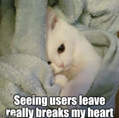 :'( | Seeing users leave really breaks my heart | image tagged in sad blanket kitty,look who decided to come back | made w/ Imgflip meme maker