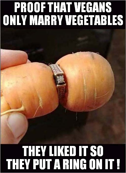 Vegans Ideal Marriage | PROOF THAT VEGANS ONLY MARRY VEGETABLES; THEY LIKED IT SO THEY PUT A RING ON IT ! | image tagged in vegan,marriage,frontpage | made w/ Imgflip meme maker