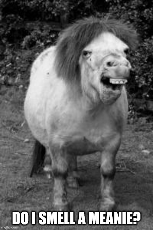 ugly horse | DO I SMELL A MEANIE? | image tagged in ugly horse | made w/ Imgflip meme maker