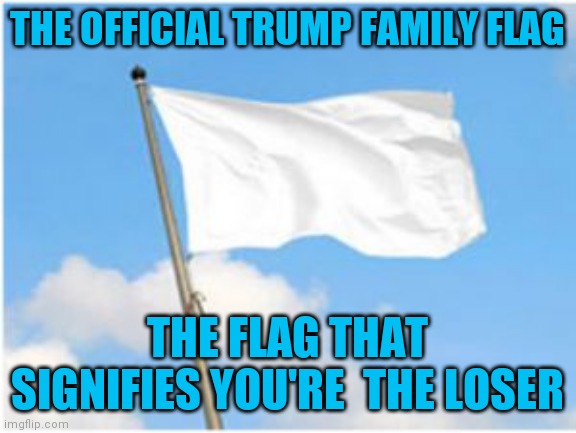 White flag | THE OFFICIAL TRUMP FAMILY FLAG; THE FLAG THAT SIGNIFIES YOU'RE  THE LOSER | image tagged in white flag | made w/ Imgflip meme maker