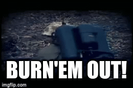4mgq45.gif