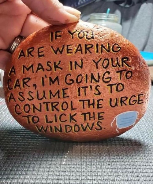 Mask wearers and window lickers | image tagged in mask wearers,window lickers,flagpole lickers,dicklickers,never go full retard,full retard | made w/ Imgflip meme maker