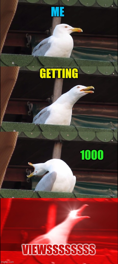 oh yeahhhhhhh | ME; GETTING; 1000; VIEWSSSSSSSS | image tagged in memes,inhaling seagull,imgflip,10000 points,views | made w/ Imgflip meme maker