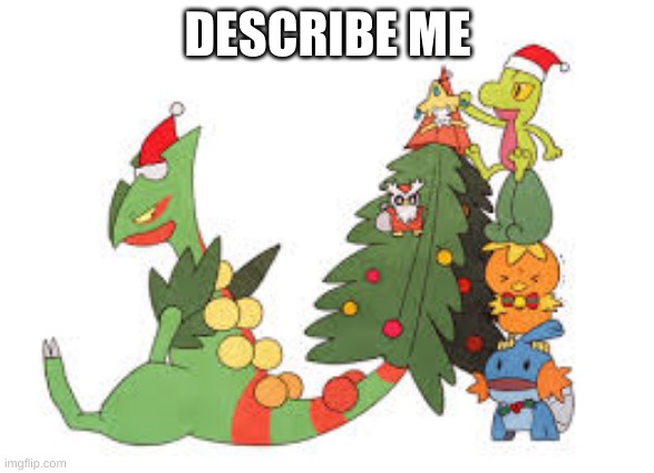 Christmas Sceptile | DESCRIBE ME | image tagged in christmas sceptile | made w/ Imgflip meme maker