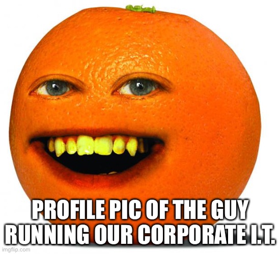 Annoying Orange | PROFILE PIC OF THE GUY RUNNING OUR CORPORATE I.T. | image tagged in annoying orange | made w/ Imgflip meme maker