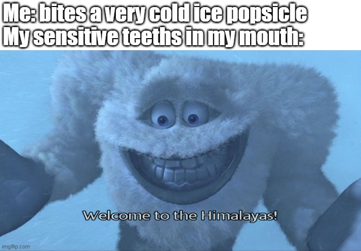 Welcome to the himalayas | Me: bites a very cold ice popsicle
My sensitive teeths in my mouth: | image tagged in welcome to the himalayas | made w/ Imgflip meme maker