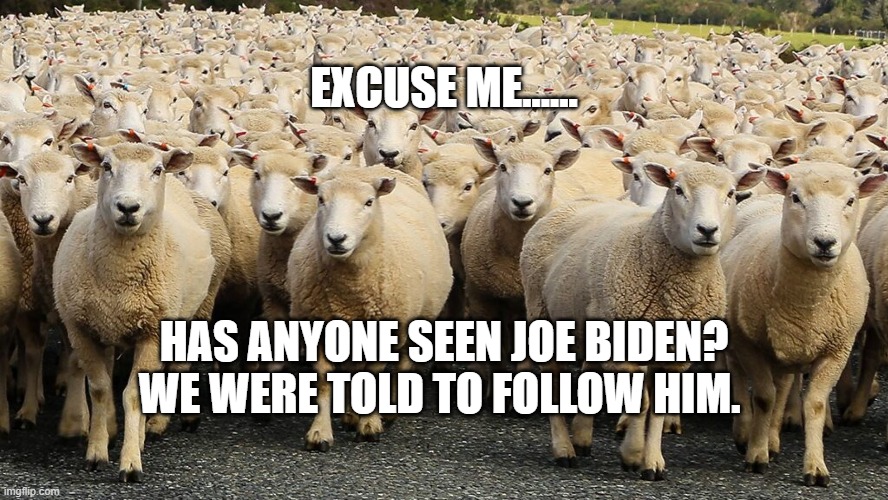 Trump Sheep | EXCUSE ME...... HAS ANYONE SEEN JOE BIDEN? WE WERE TOLD TO FOLLOW HIM. | image tagged in trump sheep | made w/ Imgflip meme maker