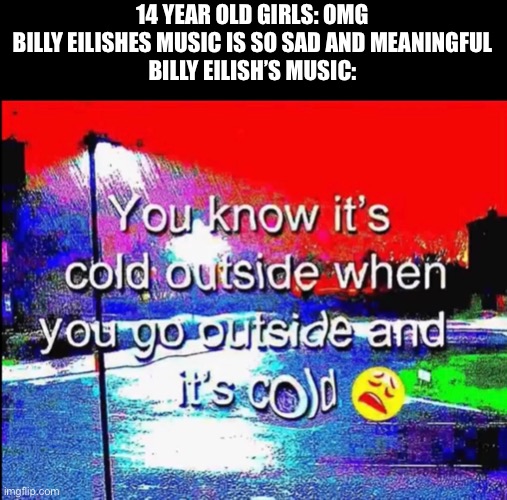 It’s cooooold outside |  14 YEAR OLD GIRLS: OMG BILLY EILISHES MUSIC IS SO SAD AND MEANINGFUL
BILLY EILISH’S MUSIC: | image tagged in funny,billy eilish | made w/ Imgflip meme maker