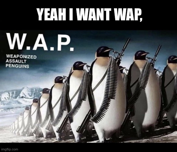 Get out of here with your dirty mind |  YEAH I WANT WAP, | image tagged in wap,funny,penguins | made w/ Imgflip meme maker