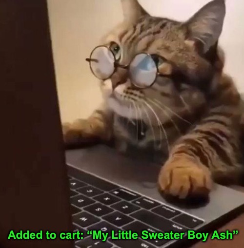 Added to cart: “My Little Sweater Boy Ash” | made w/ Imgflip meme maker