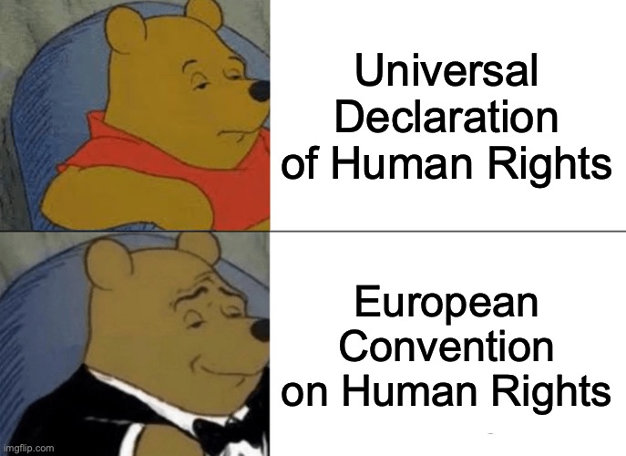 Tuxedo Winnie The Pooh Meme | Universal Declaration of Human Rights; European Convention on Human Rights | image tagged in memes,tuxedo winnie the pooh | made w/ Imgflip meme maker