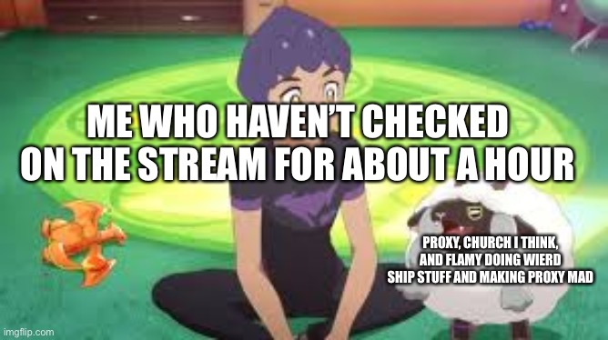 Wooloo | ME WHO HAVEN’T CHECKED ON THE STREAM FOR ABOUT A HOUR; PROXY, CHURCH I THINK, AND FLAMY DOING WIERD SHIP STUFF AND MAKING PROXY MAD | image tagged in wooloo | made w/ Imgflip meme maker