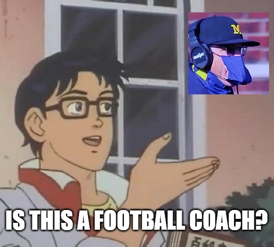 Is this a coach? | IS THIS A FOOTBALL COACH? | image tagged in memes,is this a pigeon,jim harbaugh,michigan sucks,michigan football | made w/ Imgflip meme maker