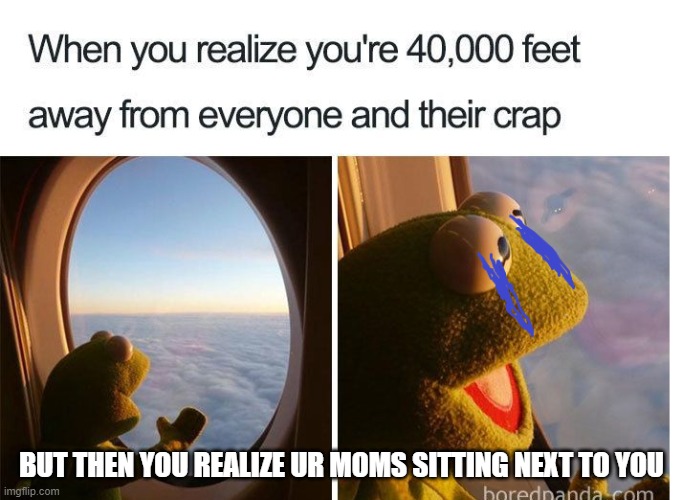 Life As We Knew It | BUT THEN YOU REALIZE UR MOMS SITTING NEXT TO YOU | image tagged in kermit | made w/ Imgflip meme maker