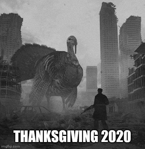 Thanksgiving 2020 | THANKSGIVING 2020 | image tagged in 2020 sucks | made w/ Imgflip meme maker