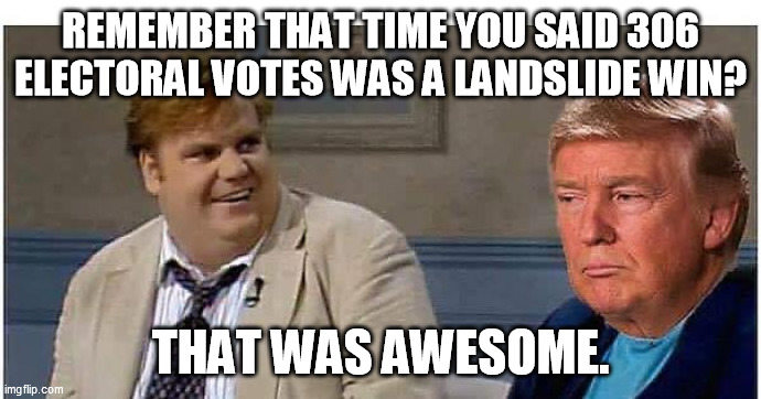 And he lost by only 2 million popular votes then.  What’s that make Biden’s victory? | REMEMBER THAT TIME YOU SAID 306 ELECTORAL VOTES WAS A LANDSLIDE WIN? THAT WAS AWESOME. | image tagged in that was awesome trump an an0nym0us template | made w/ Imgflip meme maker