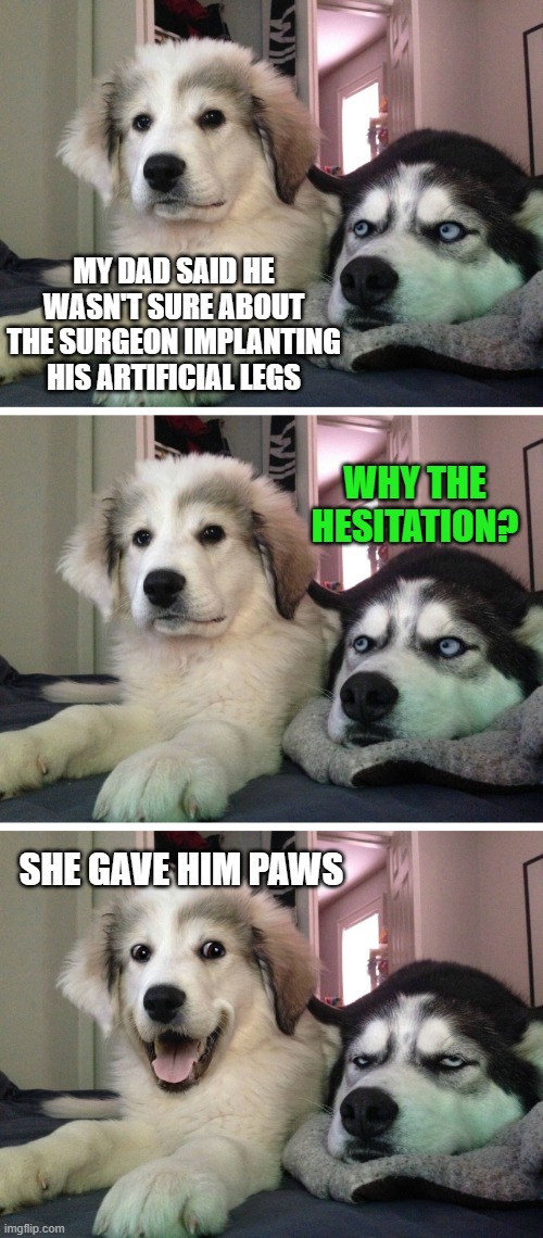 Redux of a meme I forced upon the World some time ago | MY DAD SAID HE WASN'T SURE ABOUT THE SURGEON IMPLANTING HIS ARTIFICIAL LEGS; WHY THE HESITATION? SHE GAVE HIM PAWS | image tagged in bad pun dogs,memes,gave him pause,paws,artificial legs | made w/ Imgflip meme maker