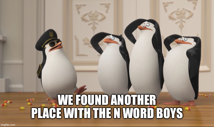 Saluting skipper | WE FOUND ANOTHER PLACE WITH THE N WORD BOYS | image tagged in saluting skipper | made w/ Imgflip meme maker