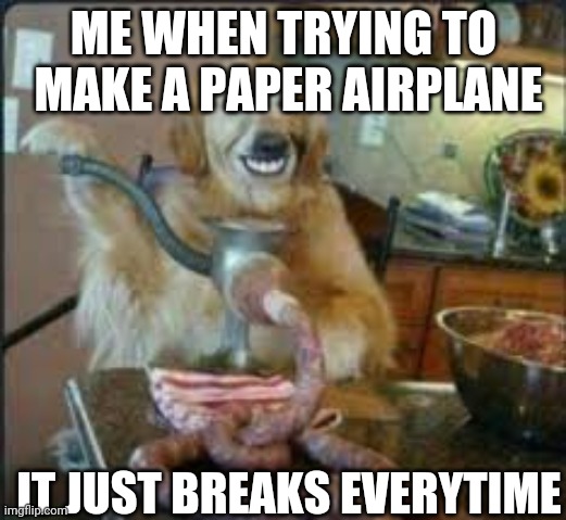 MEAT DOG | ME WHEN TRYING TO  MAKE A PAPER AIRPLANE; IT JUST BREAKS EVERYTIME | image tagged in meat dog | made w/ Imgflip meme maker