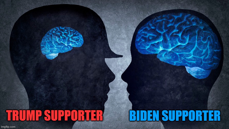 It takes intelligence to understand the election wasn't rigged. | BIDEN SUPPORTER; TRUMP SUPPORTER | image tagged in trump supporters,biden supporters,intelligence,brain size,election 2020,donald trump you're fired | made w/ Imgflip meme maker