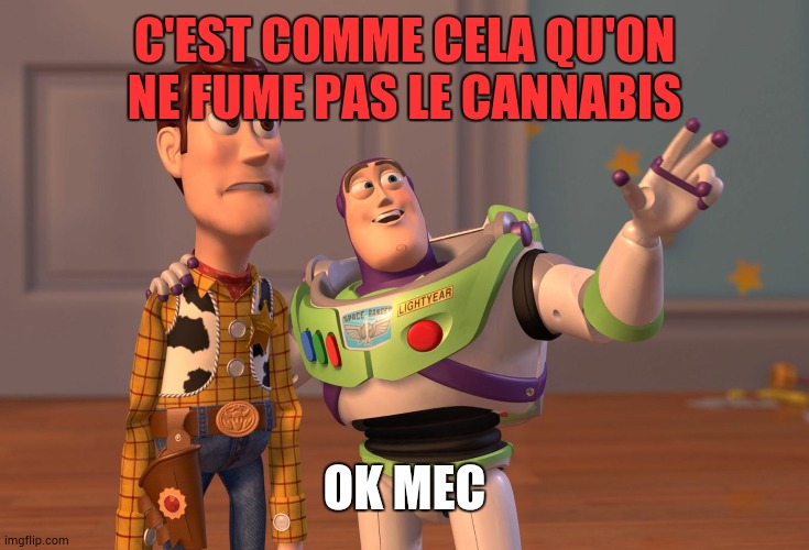 X, X Everywhere Meme | C'EST COMME CELA QU'ON NE FUME PAS LE CANNABIS; OK MEC | image tagged in memes,x x everywhere | made w/ Imgflip meme maker