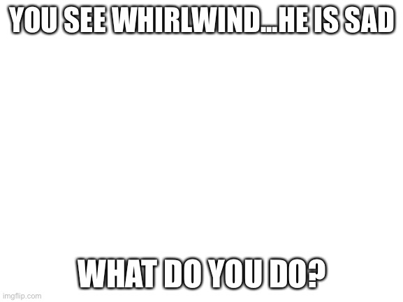 Blank White Template | YOU SEE WHIRLWIND...HE IS SAD; WHAT DO YOU DO? | image tagged in blank white template | made w/ Imgflip meme maker